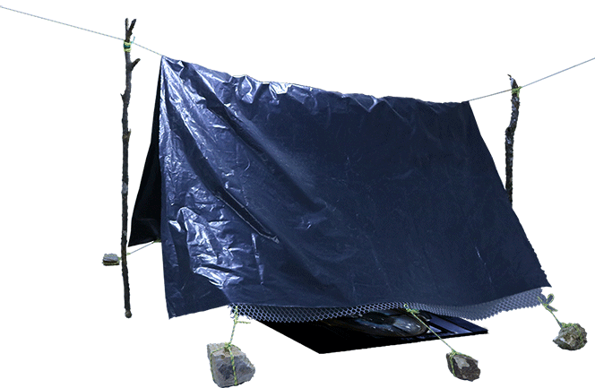 CAldo de Cultivo Forero Yury